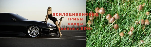 ешки Абдулино