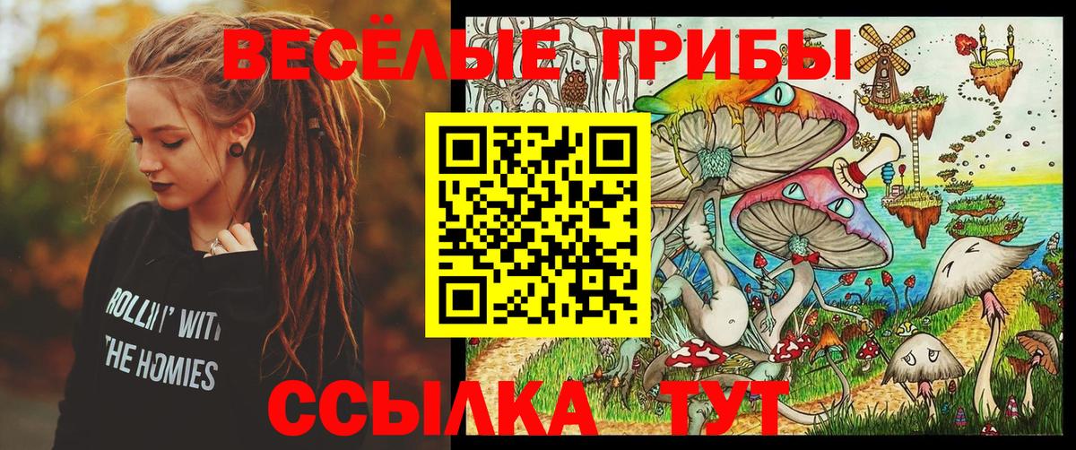 Галлюциногенные грибы прущие грибы  Вход с VPN  Хабаровск 